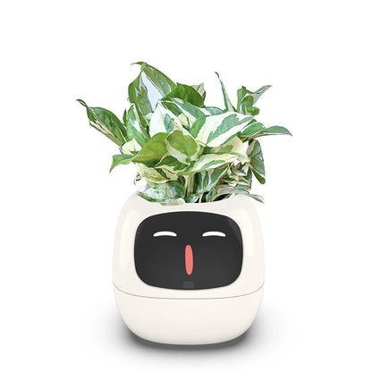 smart plant pot