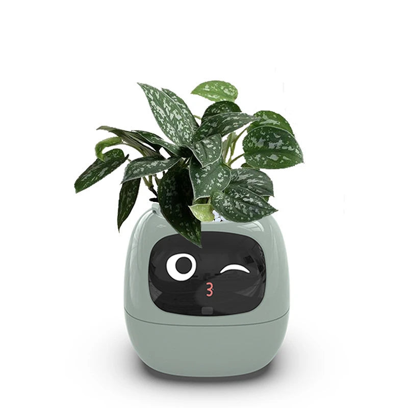 smart plant pot